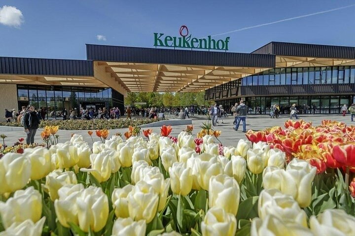 Private Keukenhof Tulip Fields & Flowers Sightseeing Tour From Rotterdam - Image 3