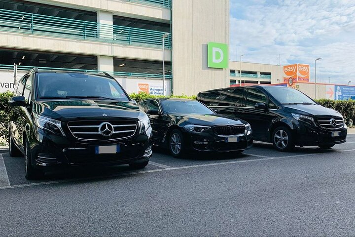 Private Transfer from Rotterdam Cruise Port to Rotterdam hotels - Image 1