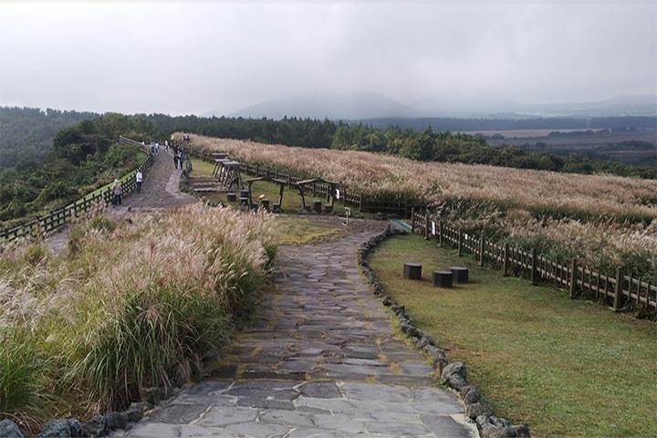 3 Days Mekong from Cambodia to Ho Chi Minh - Image 4
