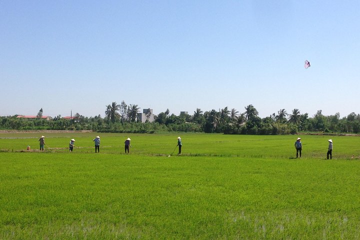 Authentic Mekong - Non touristic private day tour including 07 shots of alcohol - Image 3