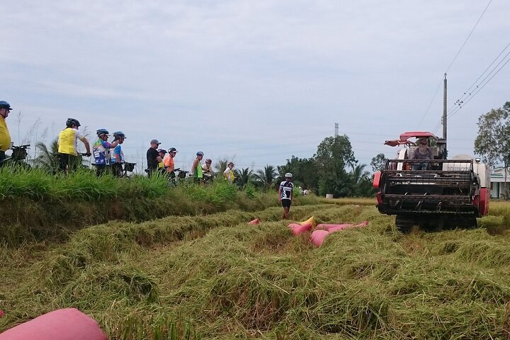 Best mekong delta bike tour - Image 4