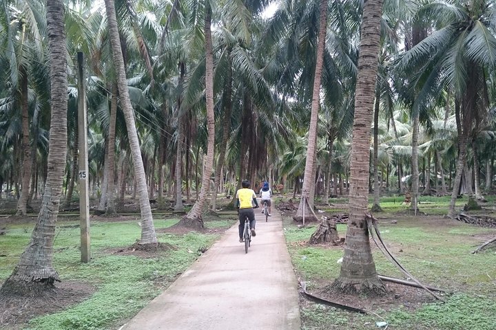 Cycling inner Mekong BenTre TraVinh CanTho 3days - Image 4