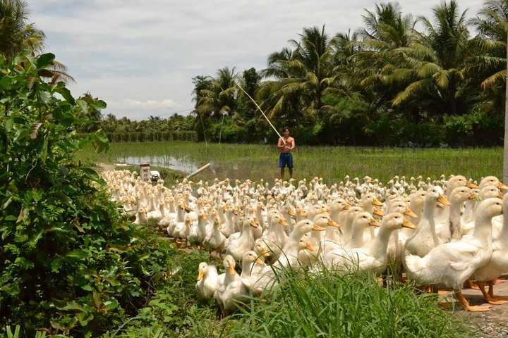 Cycling inner Mekong BenTre TraVinh CanTho 3days - Image 2