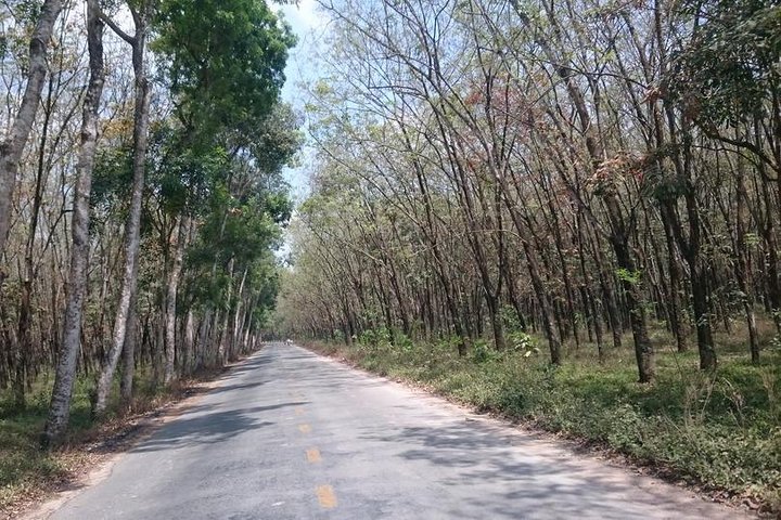 Cycling to CuChi tunnels - single track ride along Saigon river. - Image 5