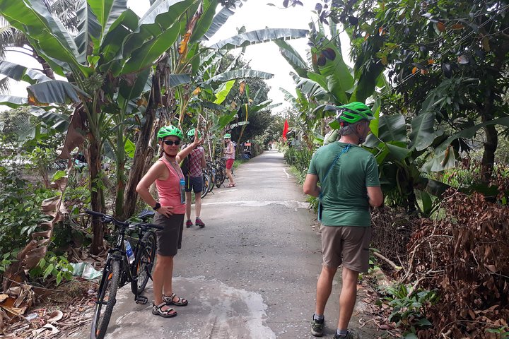 Experience The Mekong Countryside By Bike & Boat Two Days - Image 4