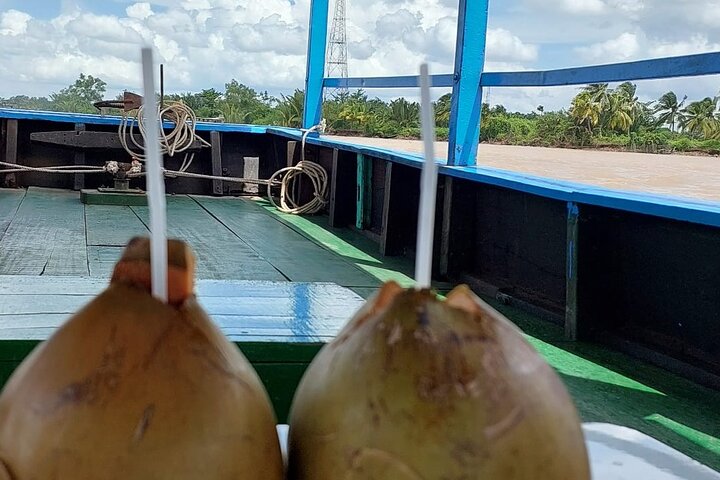 Explore Mekong Delta 1 Day Private Tour - Image 2