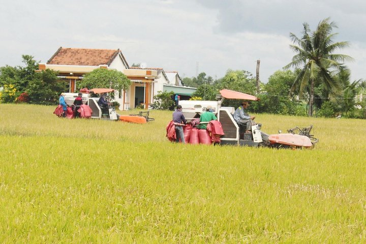 Explore nature Southern tour 2 days 1 night Tiny homestay - Image 2