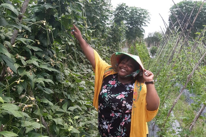 Exploring organic farm & Vietnamese Culinary with Master chef  - Image 2