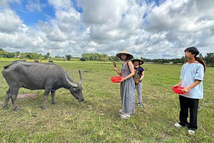 Exploring organic farm & Vietnamese Culinary with Master chef  - Image 1
