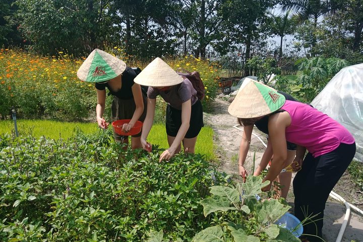 Farm-To-Table Healthy Cooking Class in Ho Chi Minh City - Image 4