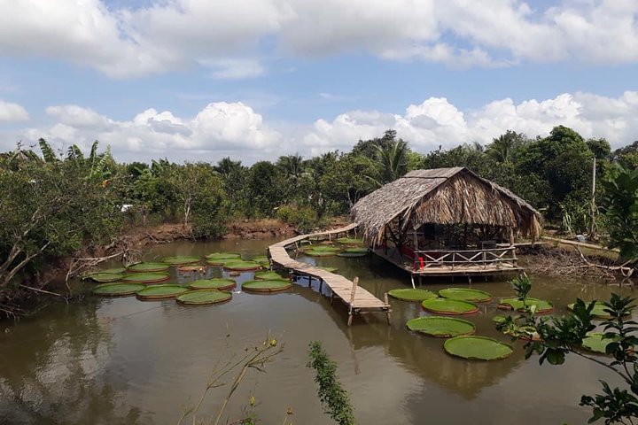 Full-day Cai Rang floating market - explore countryside, make bakery - from HCM - Image 1