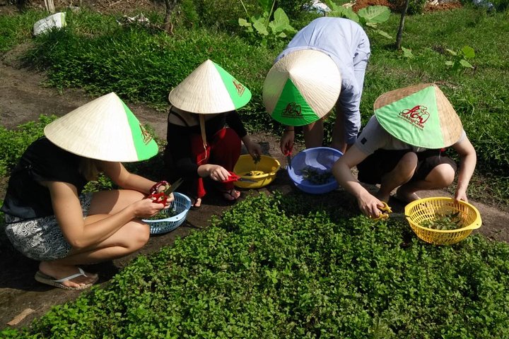 Ho Chi Minh City Full-Day Cooking Class with City Tour - Image 3