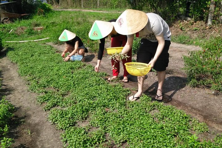 Ho Chi Minh City Full-Day Cooking Class with City Tour - Image 2