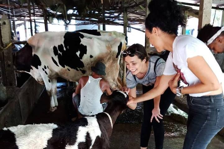 Ho Chi Minh City Full-Day Farm trip with Healthy Cooking Class - Image 3