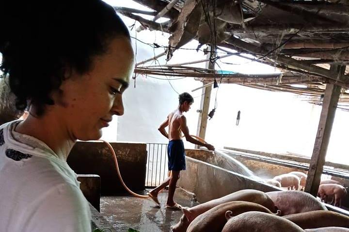 Ho Chi Minh City Full-Day Farm trip with Healthy Cooking Class - Image 4