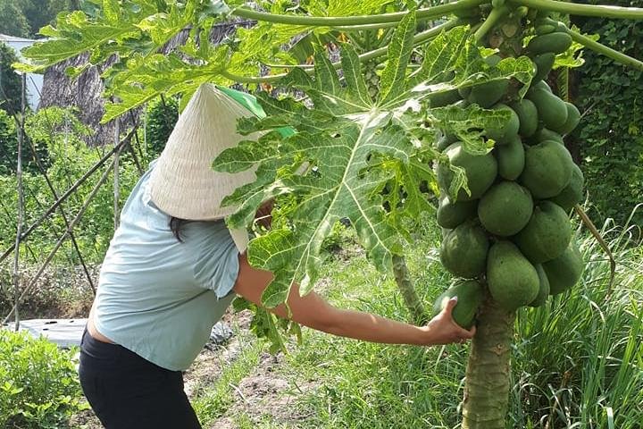 Market to Farm to Table Cooking Class in saigon - Image 3