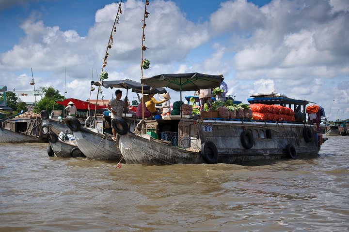 Mekong Delta Private Full Day Tour from Phu Huu Port, Ho Chi Minh City - Image 3
