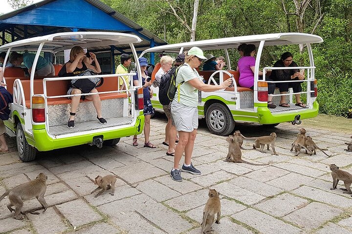 Monkey Tour at Can Gio Mangrove Biosphere Reserve by Speed Boat - Image 4