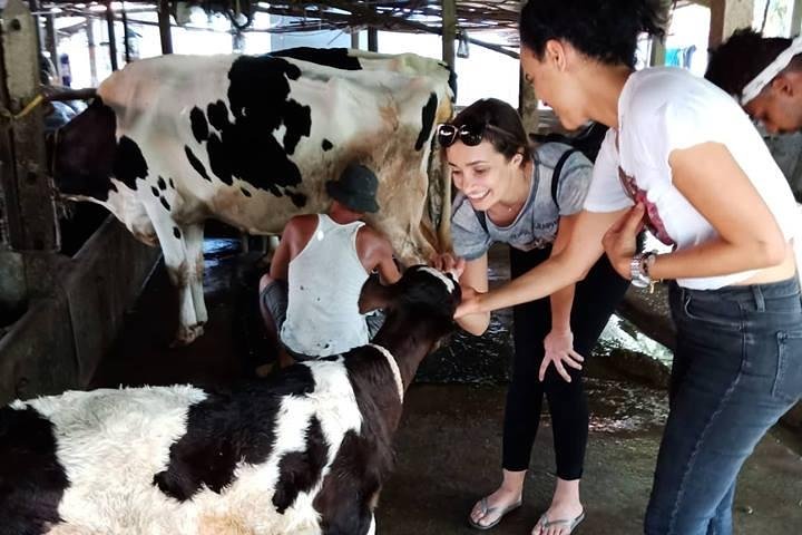One day be Farmer and Master chef in Saigon - Image 1