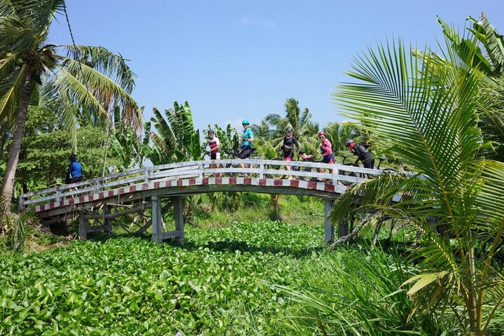 Private Shore Excursion cycling: Glimpse of the Mekong - Image 5