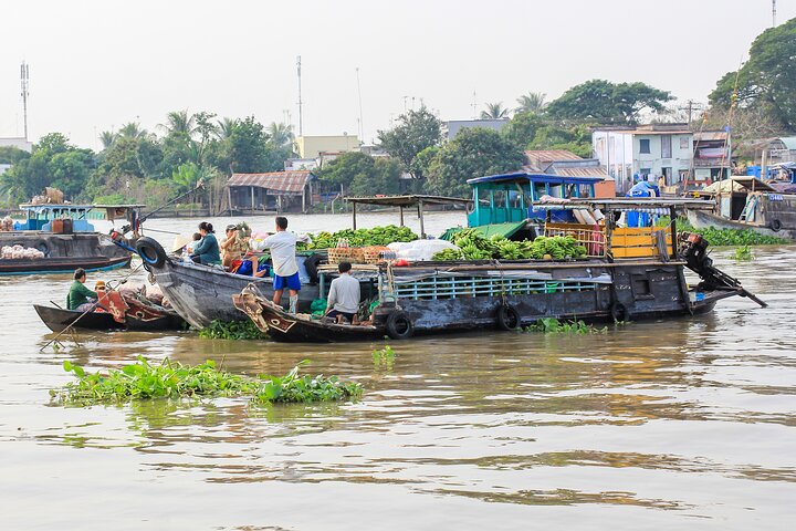 Small-group Mekong Delta Day Trip: Boat Ride, Village & Cooking - Image 2