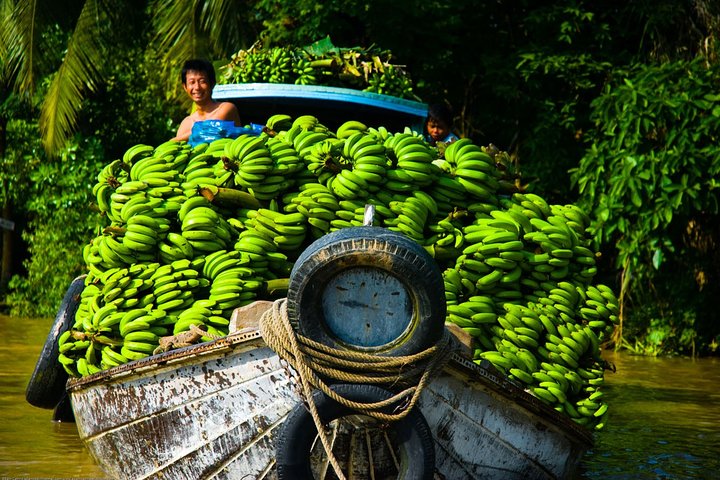 The wild life of Mekong Delta by Vespa 2 days - Image 3