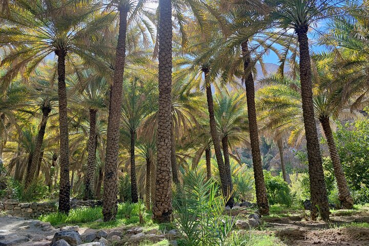 4 Hours Private Tour in Salalah City - Image 3