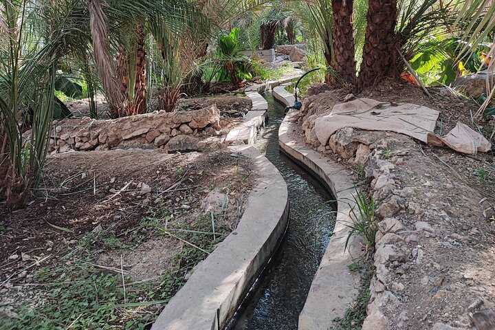4 Hours Private Tour in Salalah City - Image 4