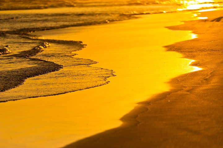Al Fizaya Beach Tour - Image 3