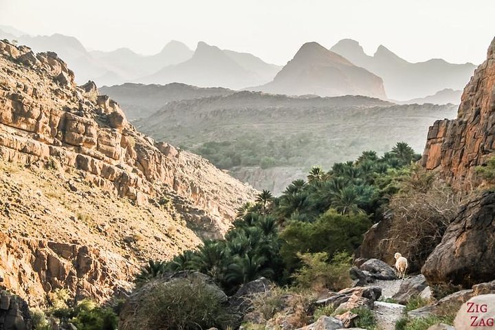 Al Fizayah beach - Image 2