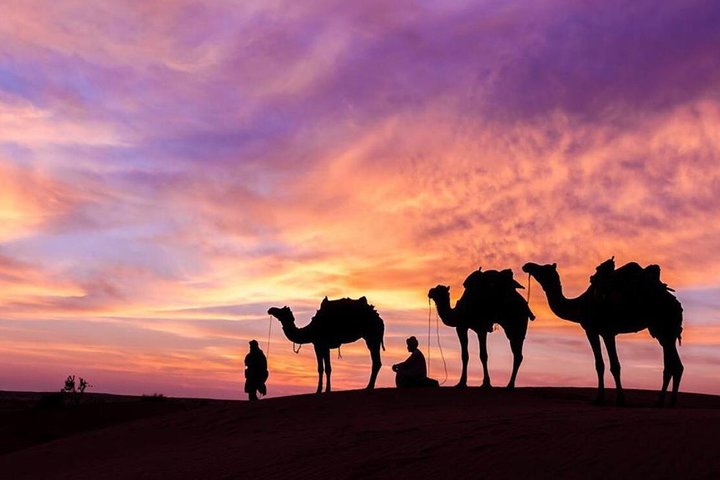 Camping tour in Empty Quarter Desert, Salalah - Image 5