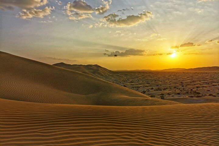 Desert Safari, Sunset & Sand Bashing ( Rub Al Khali Desert ) - Image 5