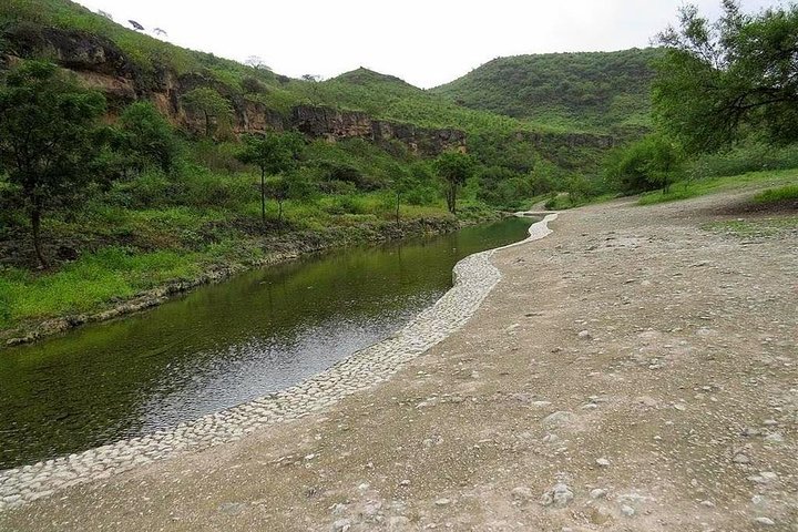 East of Salalah Full Day Tour - Image 1