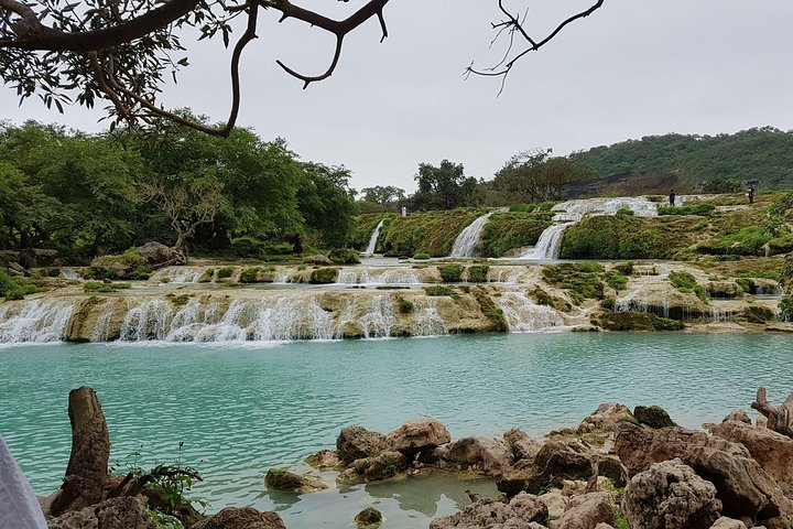 East & West Salalah Combination Tour - Darbat Waterfall, Mughsail - Image 3