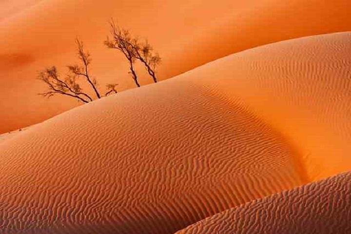Empty Quarter And Lost City Of Ubar - Image 2