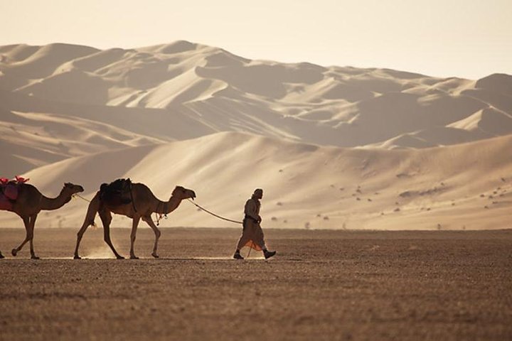 Empty Quarter & Lost City from Salalah - Image 4