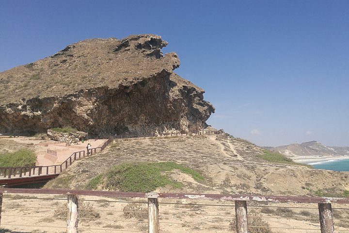 Explore West of Salalah picturesque places- Full Day  - Image 4