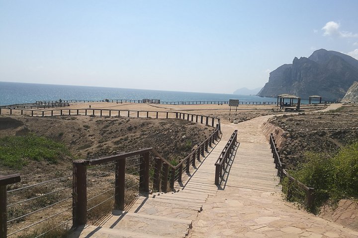 Explore West of Salalah picturesque places- Full Day  - Image 5