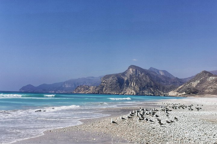 Fazayah Beach ( Private Tour)  - Image 4