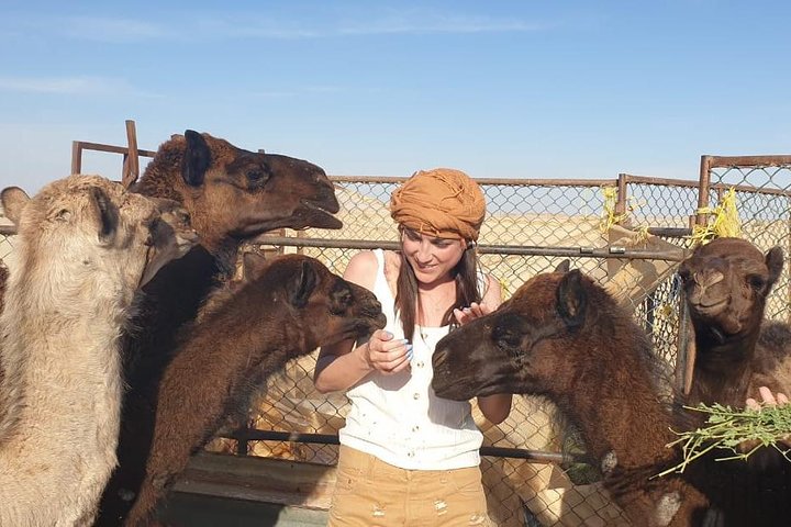 Full Day Desert and Sunset Tour in the Empty Quarter Desert - Image 2