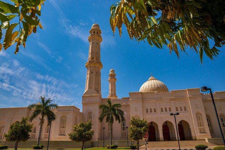 Full Day Private Shore Tour in Salalah from Salalah Cruise Port - Image 1