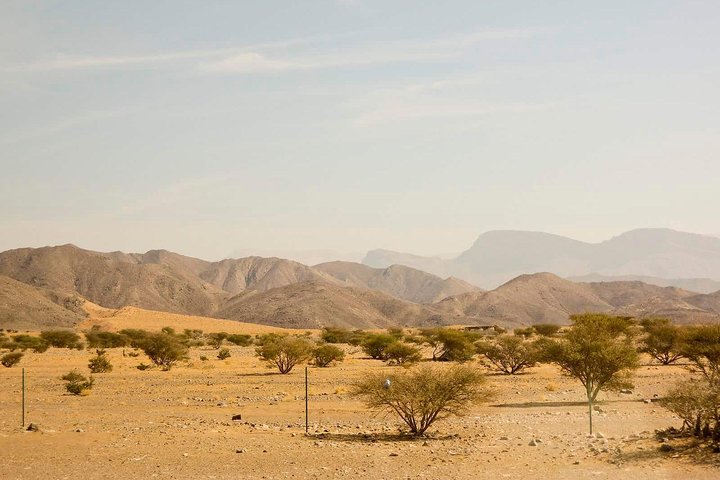 Half Day Tour of Salalah : Best of West - Image 5