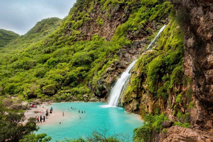 Half day tour Splendours of the East :Salalah Tours - Image 4