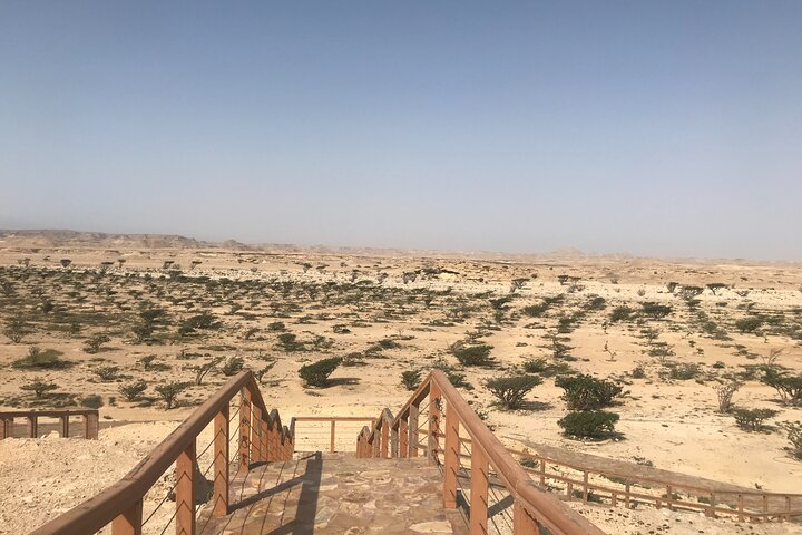 Private Day Trip from Salalah to Rub Al Khali - Image 3