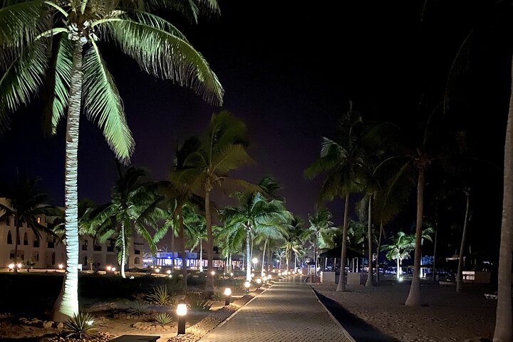 Private Salalah Night Tour with Dinner and Pick Up - by Salalah4Tourist - Image 2