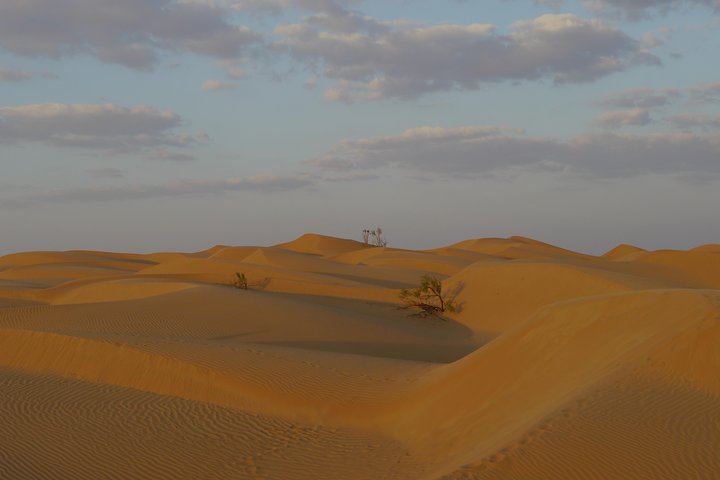 Private tour - Empty Quarter desert adventure - Wadi Dawka + Ubar - Image 2