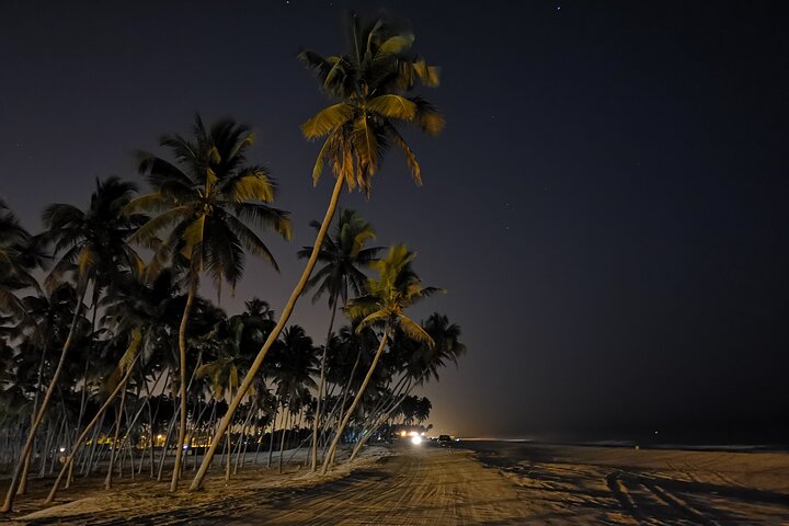 Salalah by night private tour - charming evening in the garden city  - Image 3