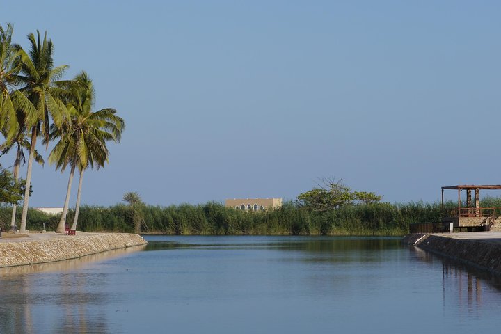 Salalah City private tour - all-inclusive sight-seeing tour - Image 2