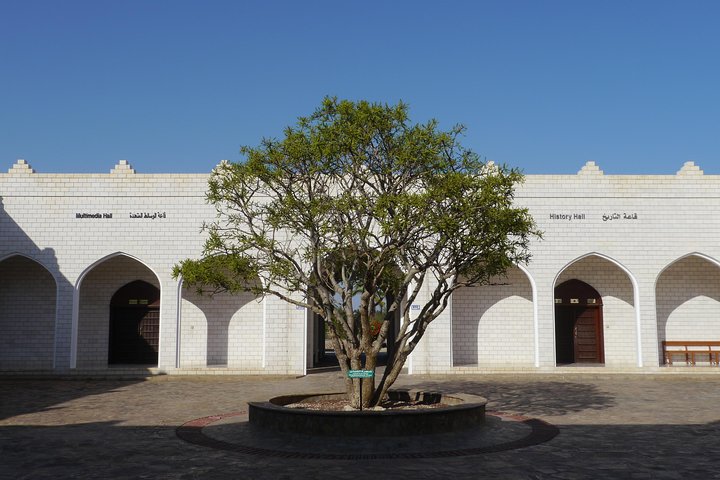 Salalah City private tour - all-inclusive sight-seeing tour - Image 3
