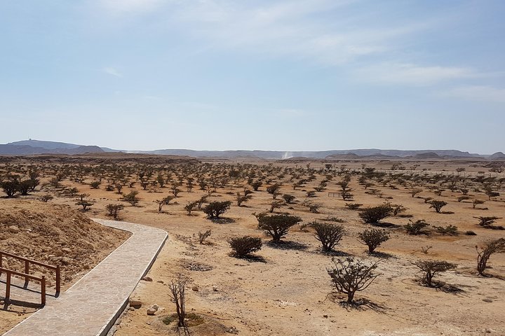 UNESCO World Heritage sites - Land of Frankincense - Salalah Oman - Image 2